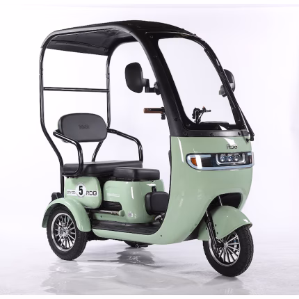 Elektrische Driewieler Panda | 1000W | 25 km/u | 60V 20Ah | Actieradius 67 km